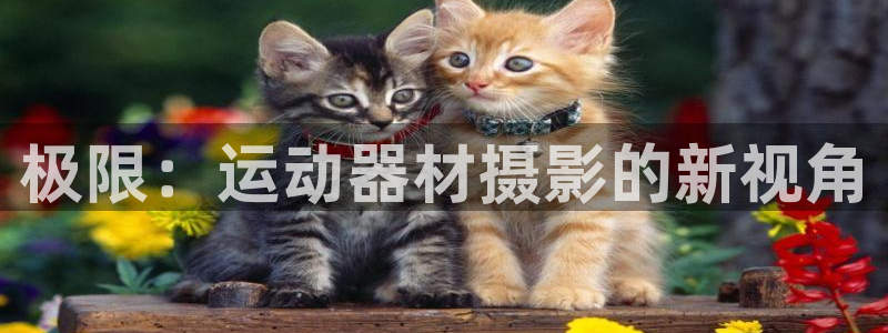 世界杯决赛直播招商电话号码是多少号