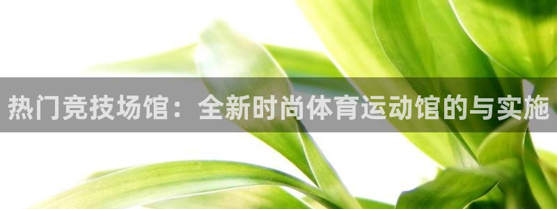 ug环球官网登录入口：热门竞技场馆：全新时尚体育运动馆的与实施