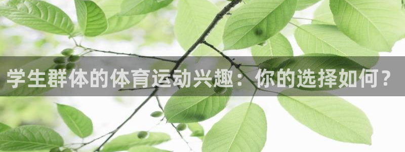 ug环球官网注册：学生群体的体育运动兴趣：你的选择如何？